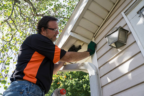 Demolition Debris Removal in The Acreage, FL